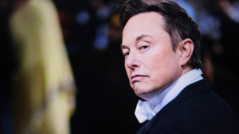 Elon Musk is looking disdainfully over his shoulder.
