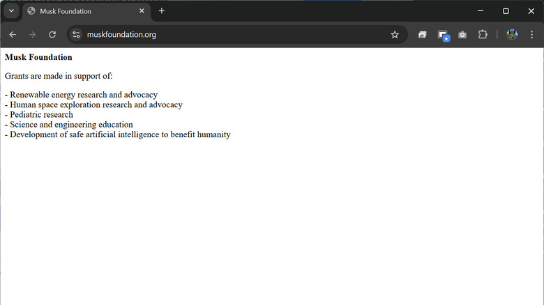 The extremely minimal Musk Foundation website with the nonprofit's mission statement in plain text.