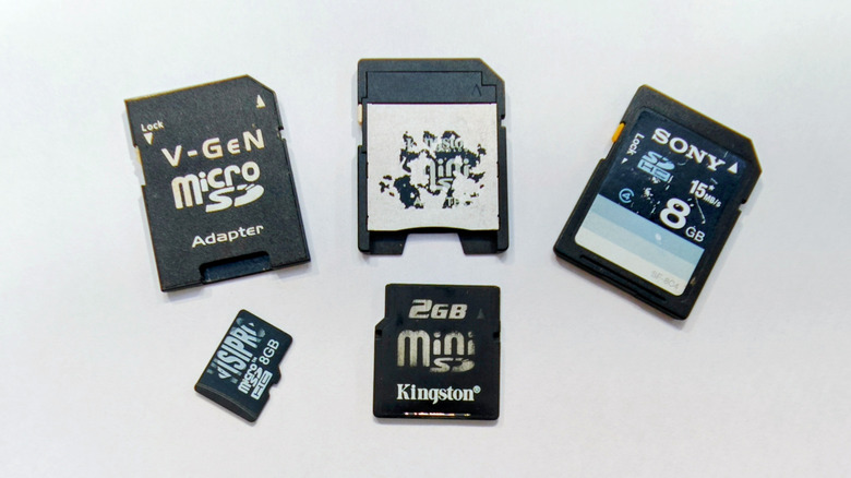 A bunch of SD cards placed on a white surface