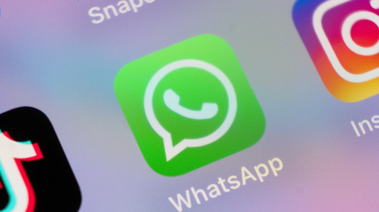 A zoomed-in picture of the WhatsApp application on an iPhone