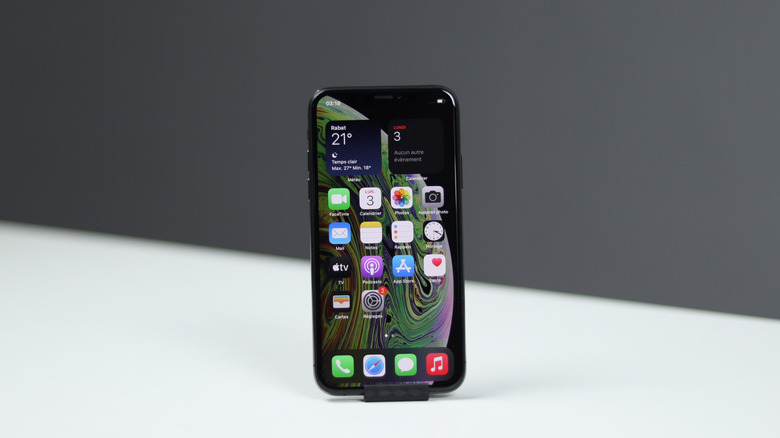 An iPhone XS Home Screen