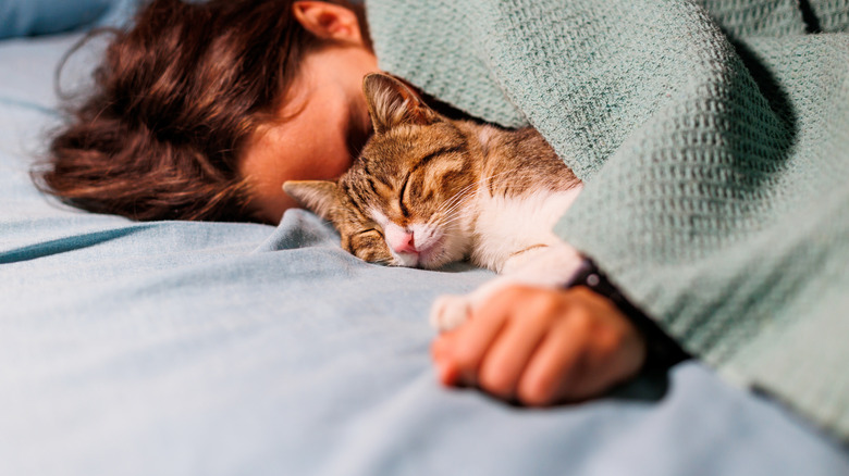 Boy falling asleep under covers with his cat