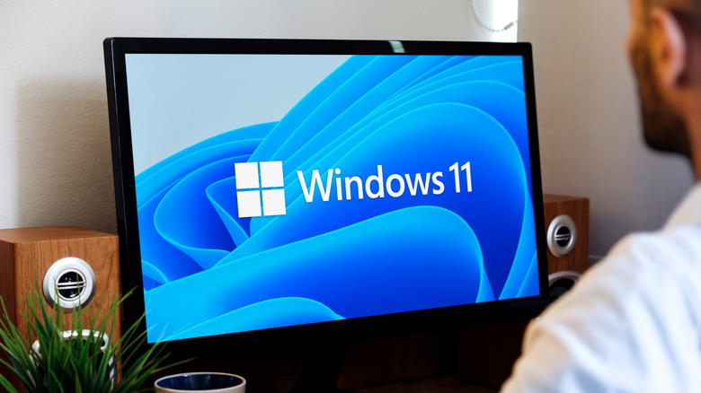 A person looking at the Windows 11 logo on a desktop computer monitor.