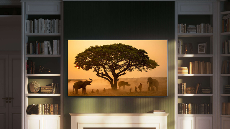 A nature documentary running on a TV