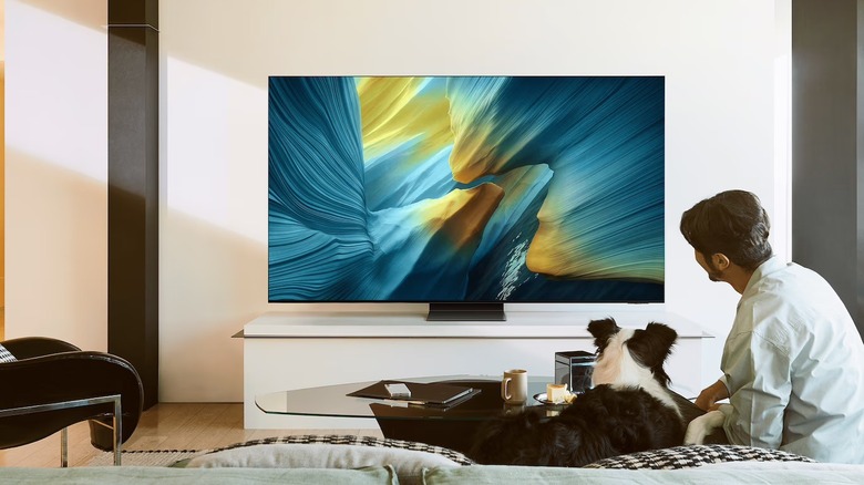 A person and their dog watching the content on the Samsung S95F