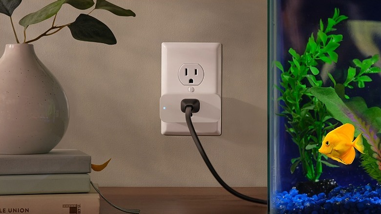 Aquarium with a yellow fish connected to a smart plug.