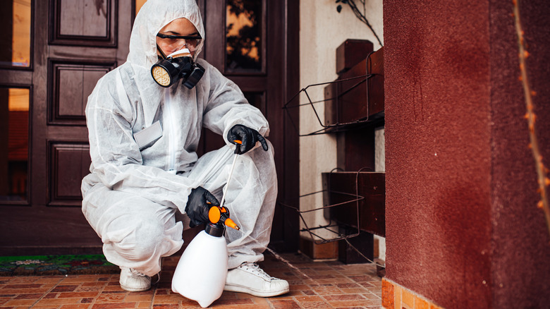 An exterminator working to clean a house from pests.