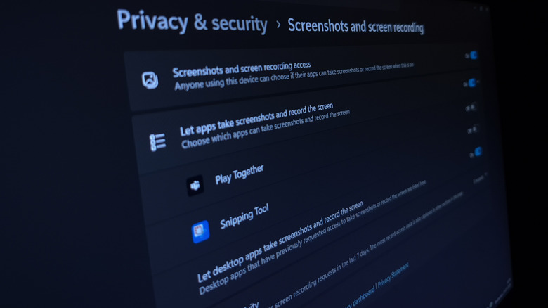 Windows 11 Privacy & security window.