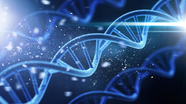 A spiral DNA double helix structure on blue background.