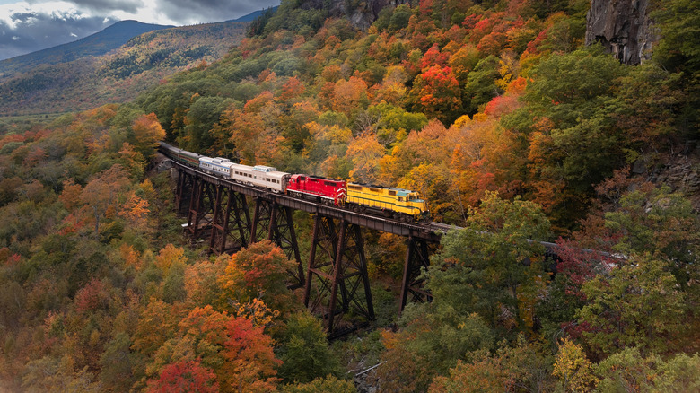 A train crosses a bridge over a ravine.