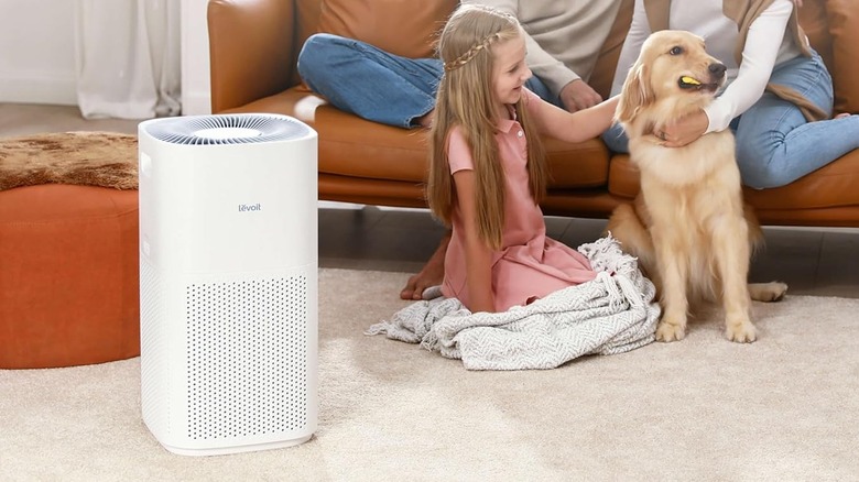 The Levoit Core 600S-P air purifier on the floor of a living room, with a child and a dog beside it.