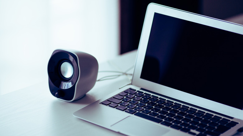 An image of a speaker connected to a laptop
