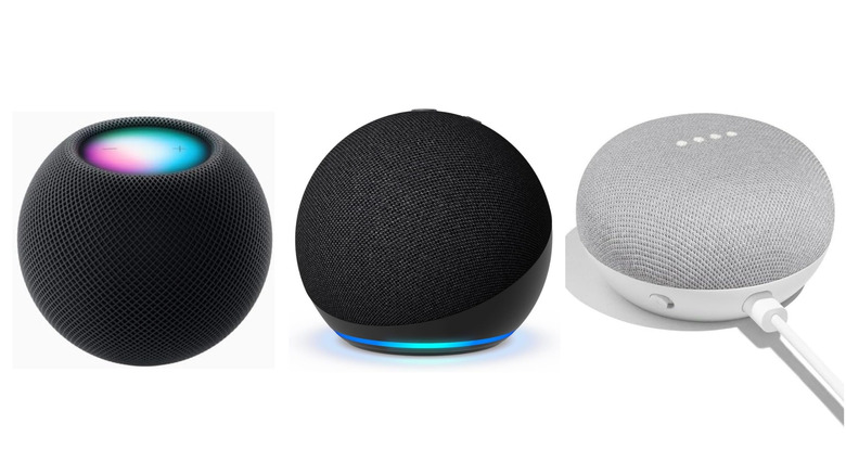 The Amazon Echo Dot, Google Nest Mini, and the Apple HomePod on a white background