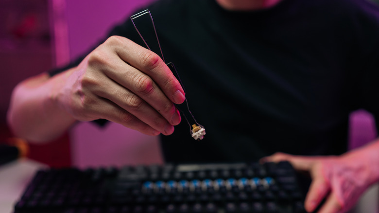 A close-up of a person using a switch puller to hold a mechanical keyboard switch above a keyboard, illuminated by pink and purple ambient lighting.