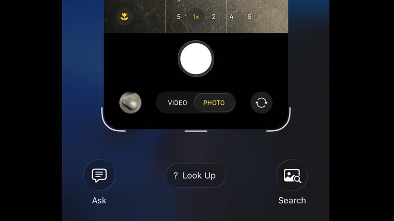 Using visual intelligence with the iPhone Camera app.