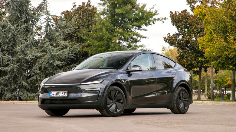 The Tesla Model Y parked near a stand of trees