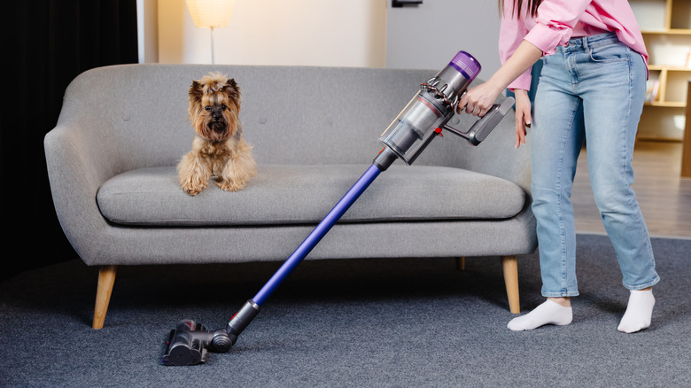 A person cleaning the floor with a cordless vacuum while a dog sits on a couch.