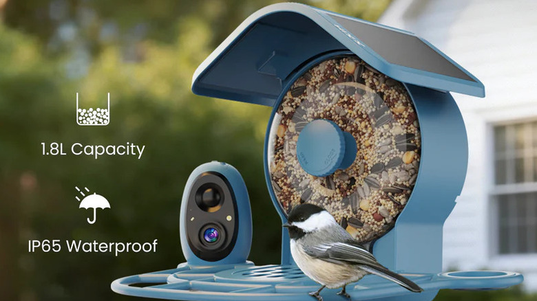 Frontal shot of Coolfly Aura smart bird feeder with a coal tit sitting on its metal bars.