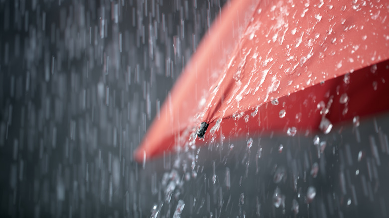 A red umbrella in the rain with water running off it.