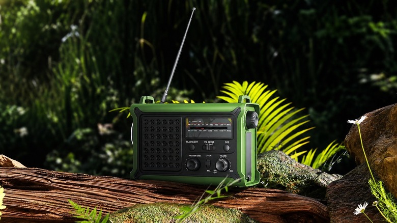 The Mesqool hand-crank emergency radio sitting on a log in a jugnle environment, aerial extended outwards