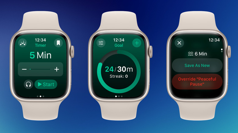 Zenitizer app showing timer screen, daily goal, and presets.