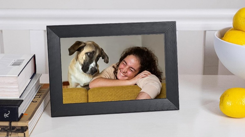A digital frame with the picture of a dog and girl on display