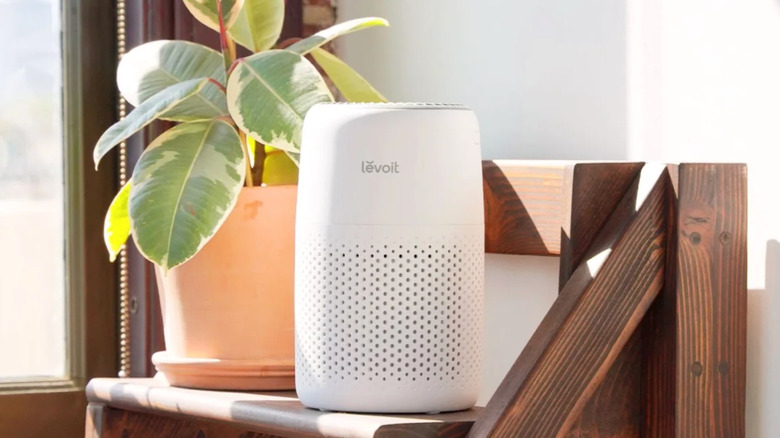 A white Levoit Core Mini-P Air Purifier on a brown bench beside an indoor tropical plant placed at a window.