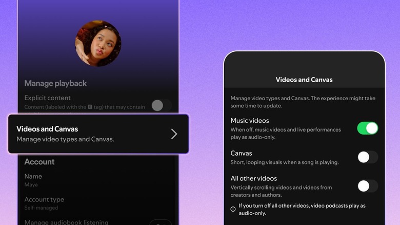 Spotify video controls setting in menu