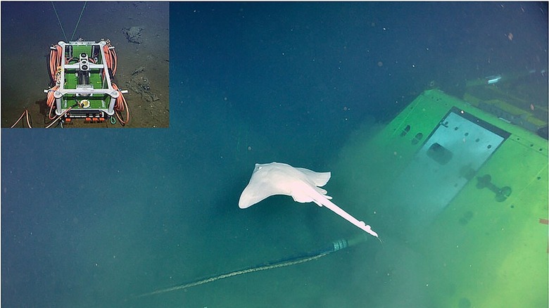 The ocean floor and underwater cable system shown via NEPTUNE connection