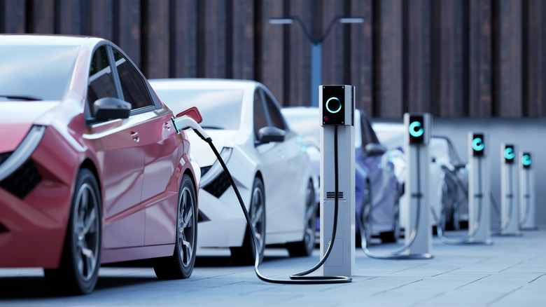 Five EVs in various colors parked in a line, all plugged into charging stations
