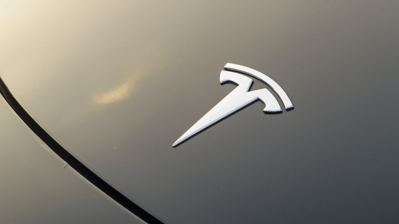 The Tesla logo on the hood of a car.