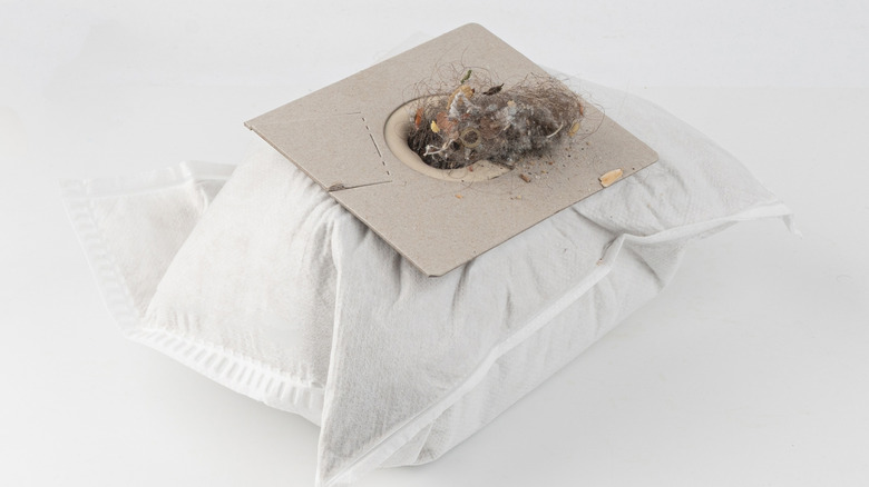 A full vacuum cleaner bag