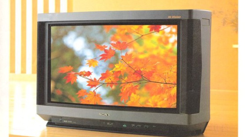 A Sony Hi-Vision TV showing an image of automn leaves on a tree branch.