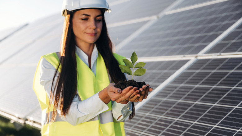 A woman holds a sapling in her hands with solar panels visible in the back.