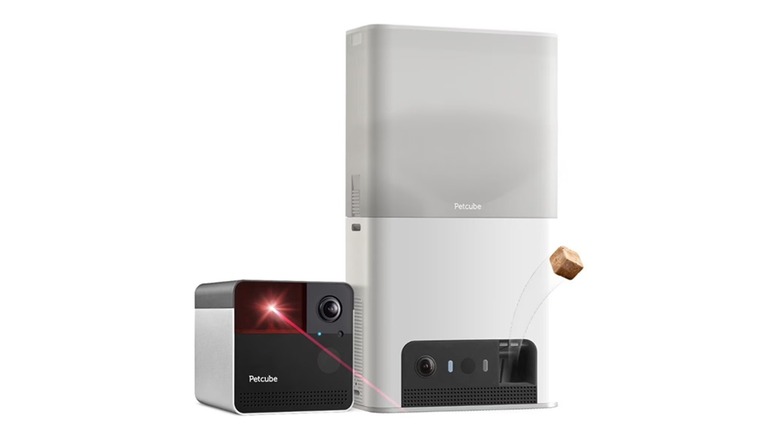 The components of the Petcube Play 2 + Bites 2 Lite bundle, on a white background.