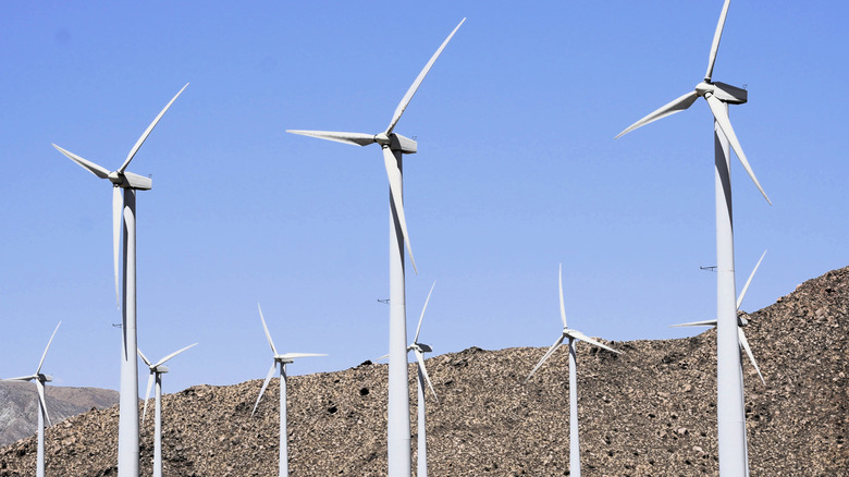 A US wind farm with turbine visible in rows and mountains in the background.