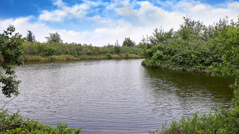 Retention pond on a clear day