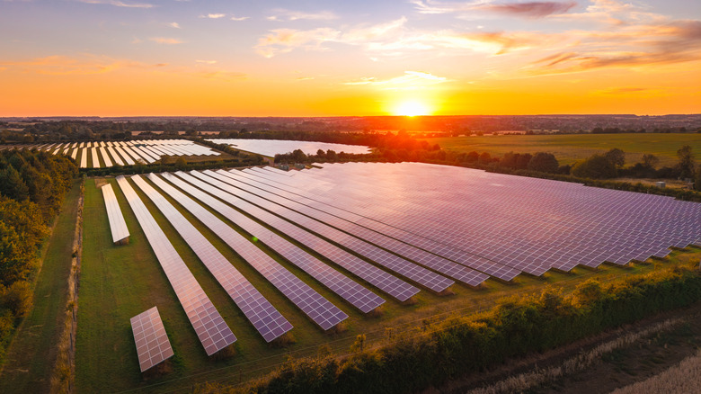 A large solar farm with many rows of panels installed across an open field