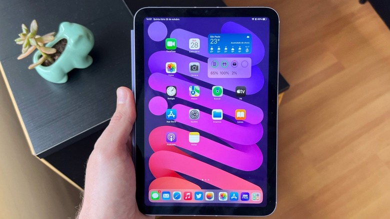 iPad mini 6 Home Screen