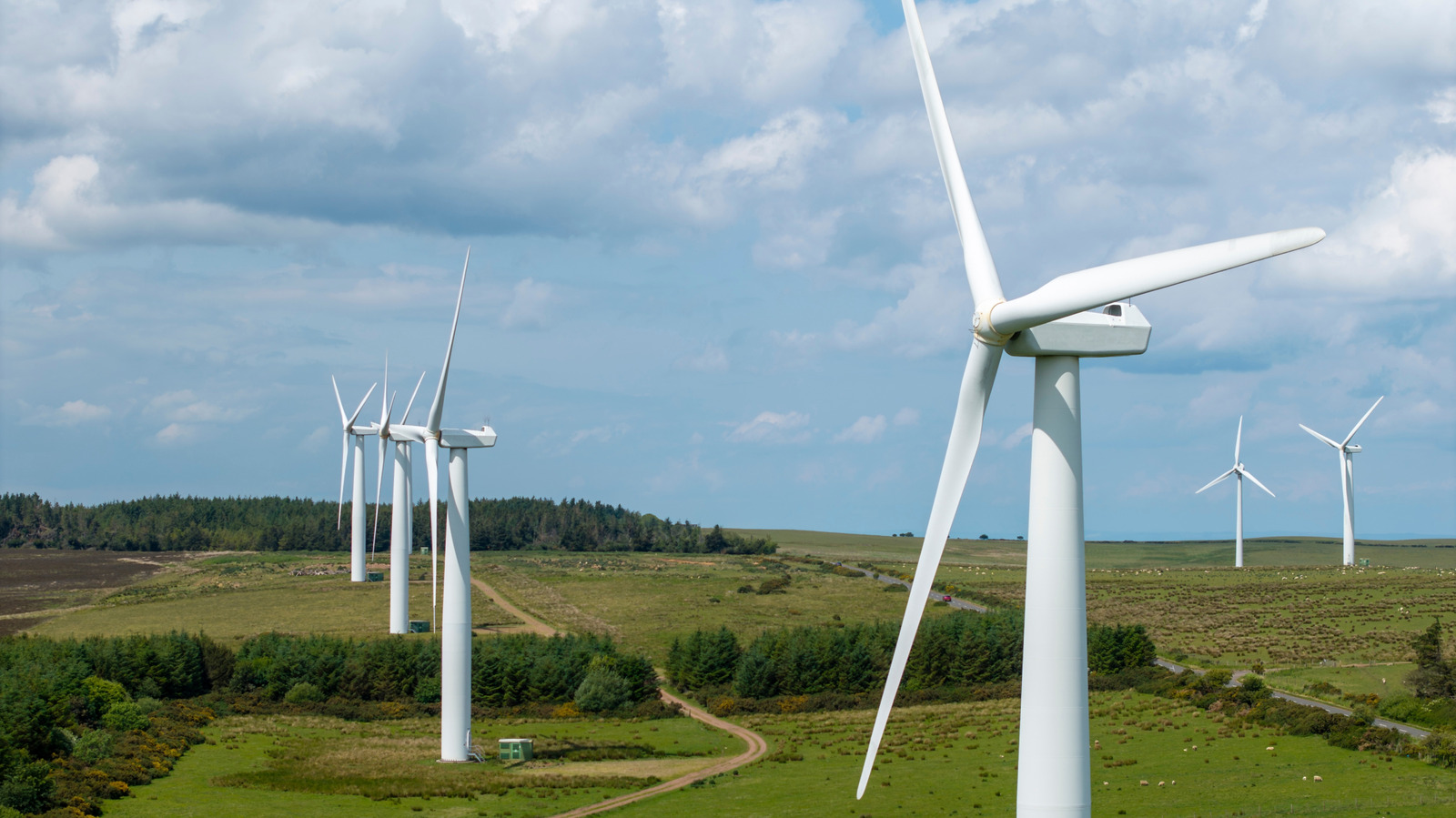 A Set Of 'Silent' Speakers Had A Huge Impact On Wildlife Wind Turbine Collisions