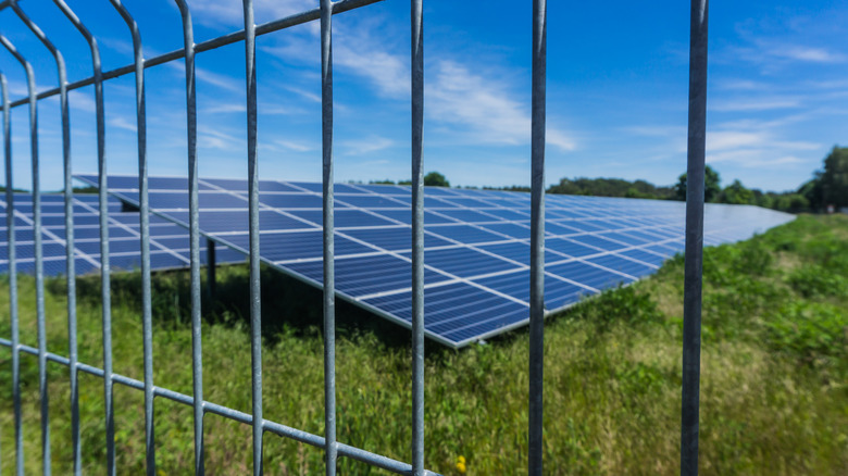 Solar panels behind a large fence.