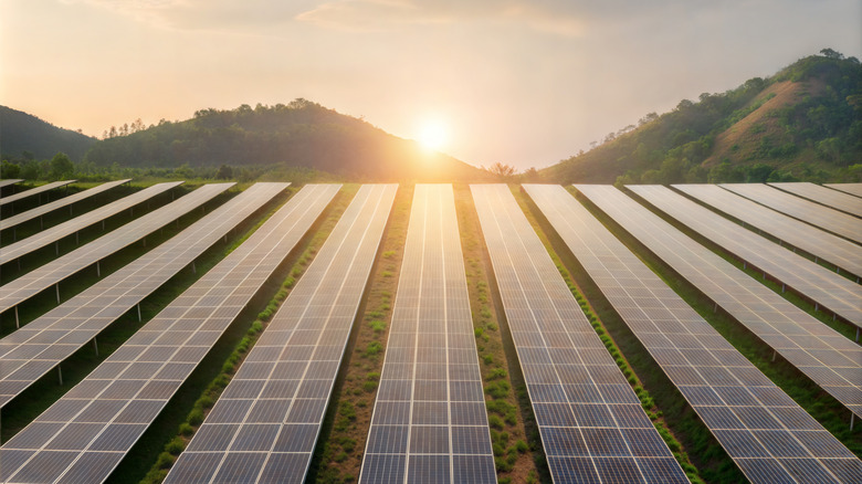 The sun shining over a solar farm in the countryside