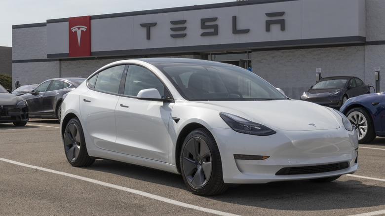 White Tesla on car lot