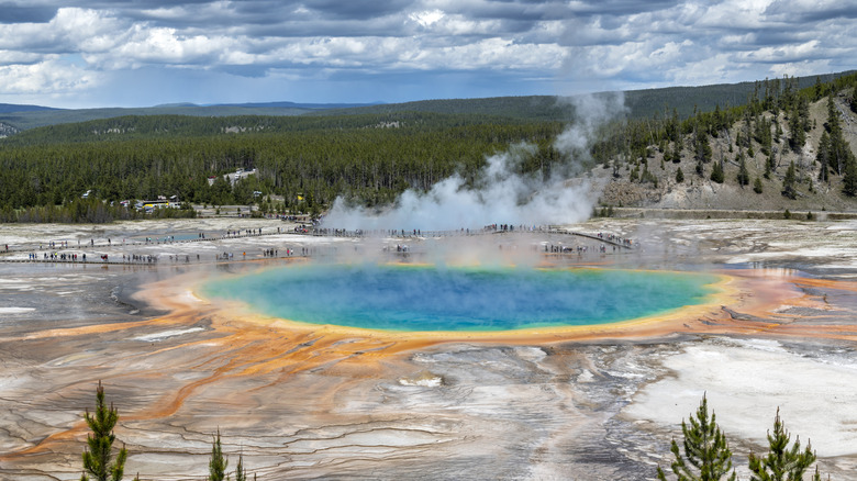 the great prismatic pool at Yellowstone