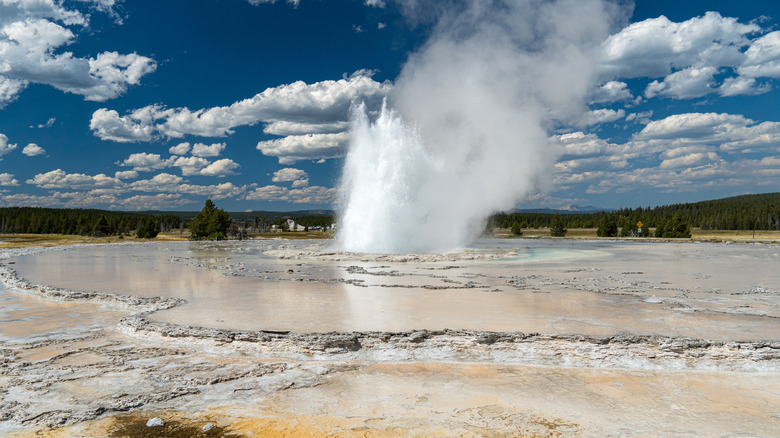 geyser exploding upward in Yellowstone
