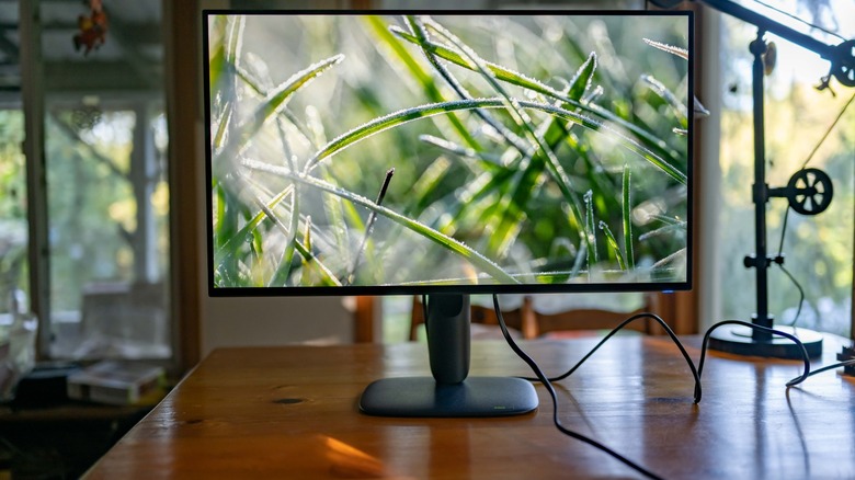 The Alienware AW3226Q with frosted foliage on the screen, and the monitor is set on top of a wooden table with windows and a lamp in the background.