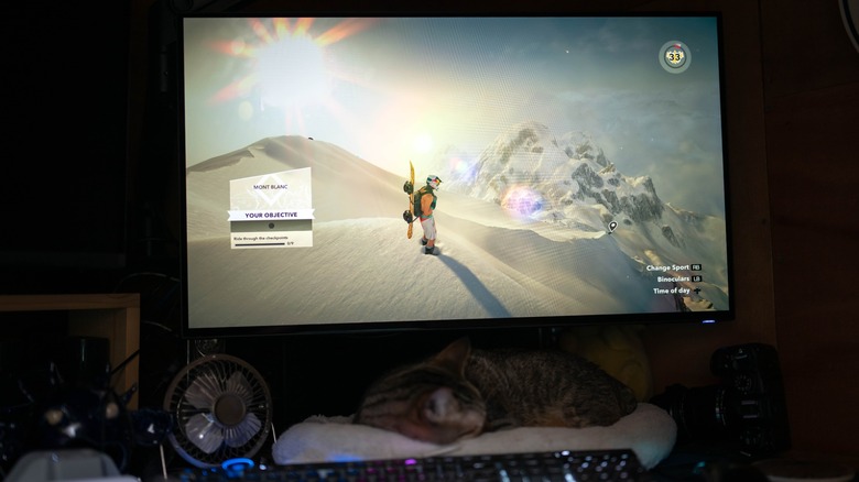 The Alienware AW3226Q with a game on screen and a cat sleeping underneath.