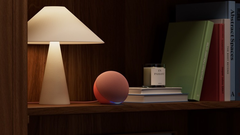 New Amazon Echo Dot on a bookshelf