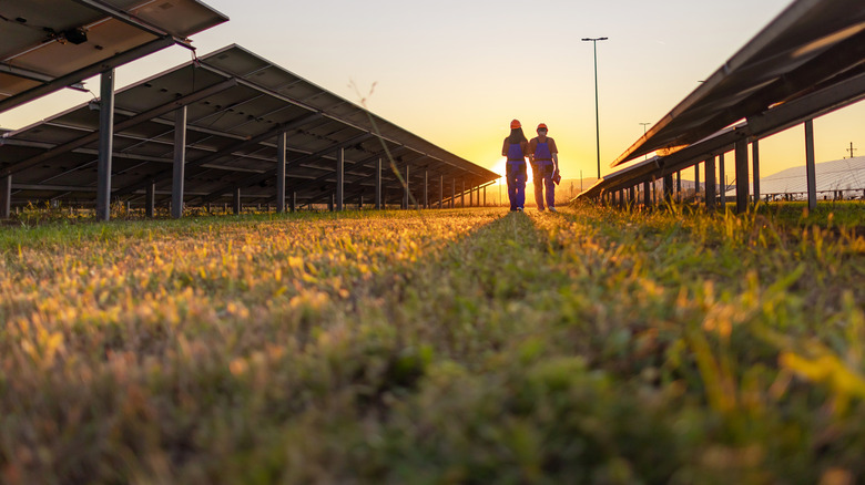 Solar farm at sunset with two people in the middle.