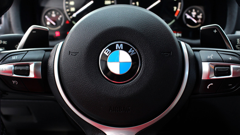 Steering wheel buttons on a BMW vehicle.